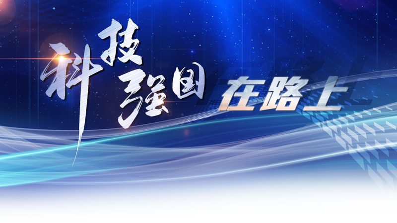 企业SAAS售后支持：揭秘排名背后的关键因素