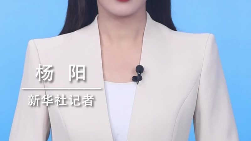 企业搜索引擎定制开发的五大关键考量