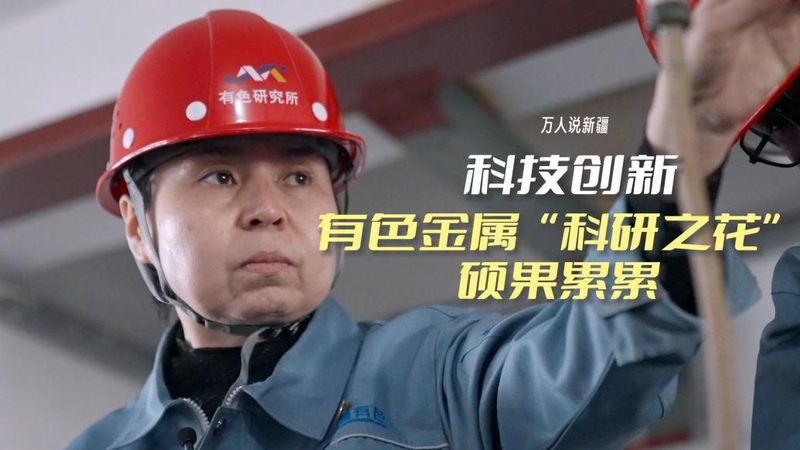 数据安全事件处理：企业如何应对与选择专业厂家